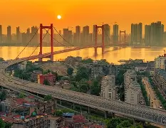 美高梅mgm官网-亚冠决赛高拉特伤情